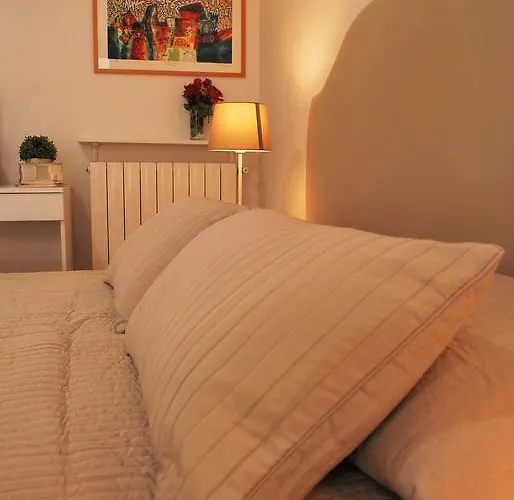 阿提可203号住宿加早餐旅馆 *