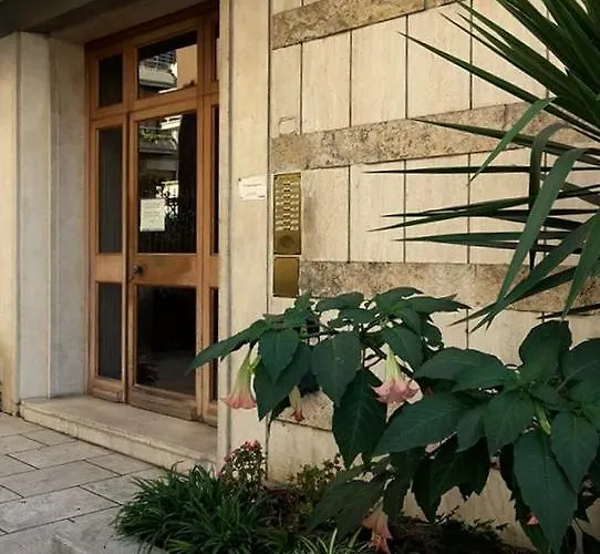 阿提可203号住宿加早餐旅馆 *